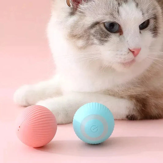 Quirky Ball - Interactive Cat Toy